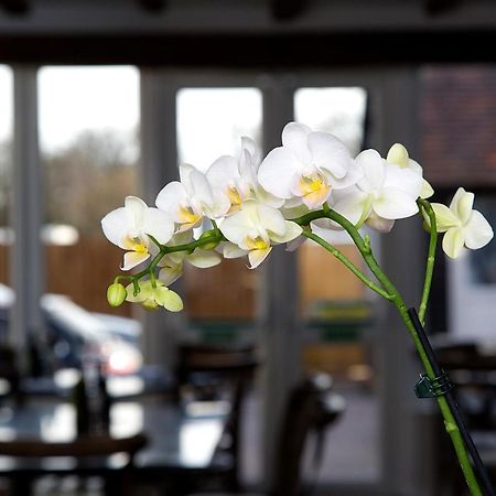 The Maple Manor Hotel Кролей Экстерьер фото