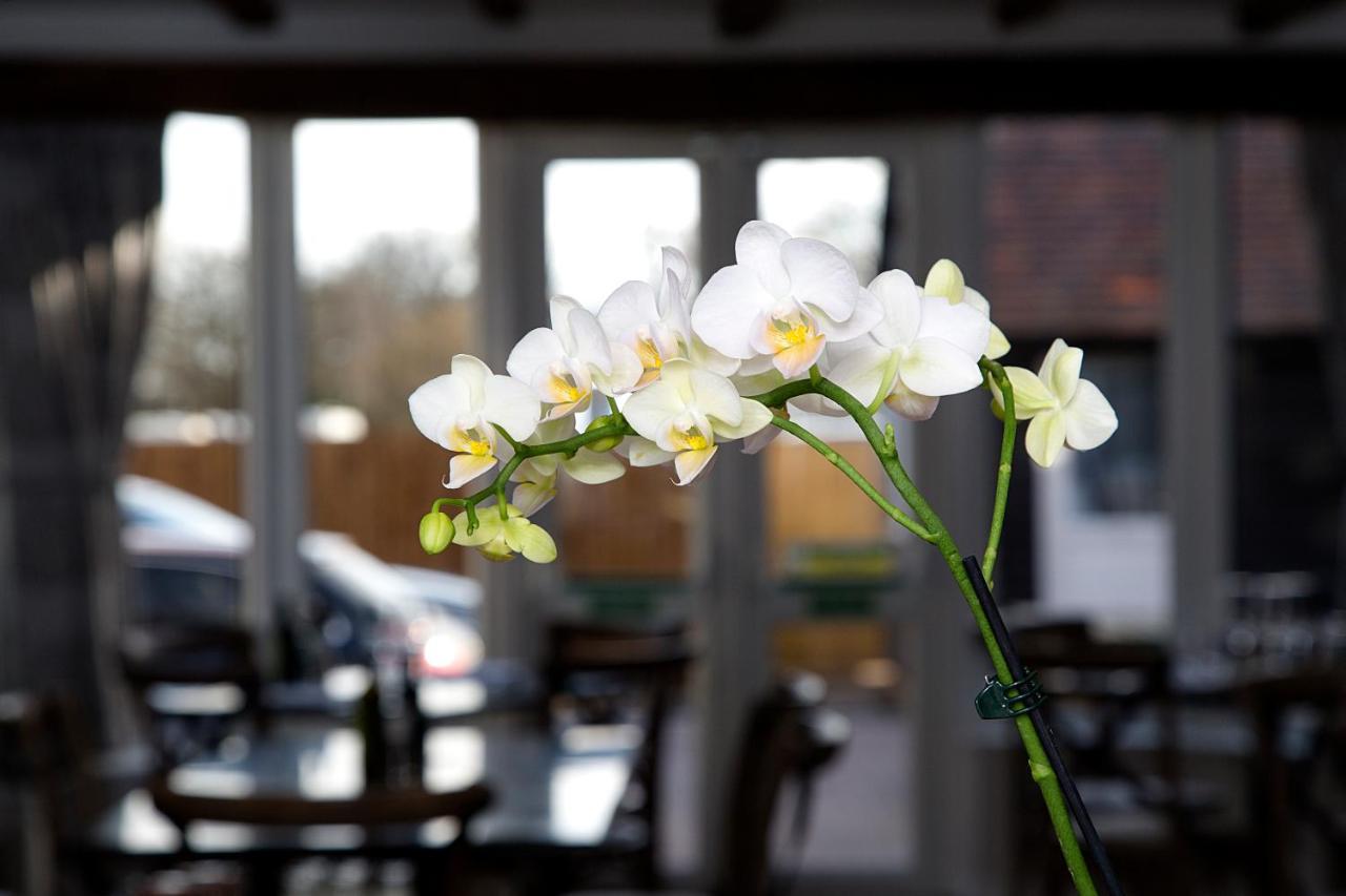 The Maple Manor Hotel Кролей Экстерьер фото